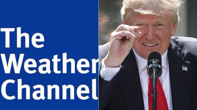 Donald Trump indicates the size of his brain in an image via Getty.